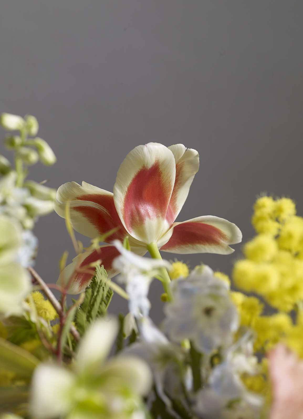 Petal & Grace work 2